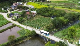긴 배차·복잡한 노선… 양평 대중교통 구조개편 나선다