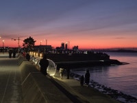 강풍에 흔들린 어린 왕자 ‘600만뷰’… 시흥 거북섬 상권에 깜짝 활력