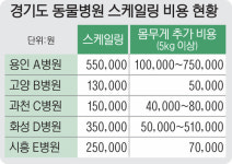 고무줄 진료비… 기본 의료비·몸무게 추가 ‘천차만별’ [불신과 위협, 길 잃은 동물 의료·(1-1)]