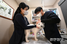 살해 협박까지… 전쟁터 된 동물병원 [불신과 위협, 길 잃은 동물 의료·(2-2)]