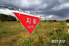 “현행법, 지뢰제거 민간대행 위축시킬 수 있어”