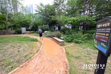 ‘맹꽁이 집’ 빼앗은 영덕레스피아 황톳길… 용인환경정의, 서식지 악영향 주장