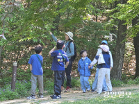도심 생태놀이터… 남양주 ‘황금산문화공원 유아숲체험원’ 인기