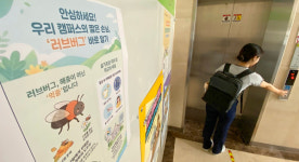 계양산 또 ‘러브버그’ 목격… 대응 준비하는 계양구·경인교대