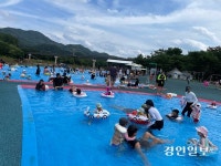 [포토] 자라섬 정원 야외수영장 개장… 다음 달 17일까지
