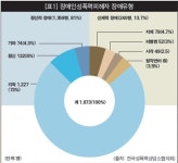 지적장애여성 성폭력, 사그라지지 않는 도가니