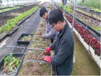 서울시, 시립 장애인 영농시설 신설