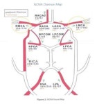 분당서울대, 국내 첫 뇌혈류측정 NOVA 설치