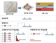 분당서울대병원, 인공 신장 칩 개발
