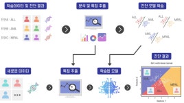 서울성모, AI 백혈병 진단모델 개발···정확도 99.1%