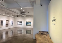 안국약품 신년 테마기획전 풍경의 뒤안展