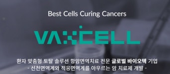 박셀바이오, 사용기간 변경 간암치료제 임상 적발