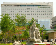 보훈병원 입찰 역풍 조짐…얌체 제약사 등장했다?