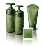 보령메디앙스, `퓨어가닉 에코라인` 할인점에서도 판매