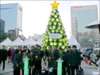 한국코와, 청계광장 양배추트리 앞에서 기념품 증정