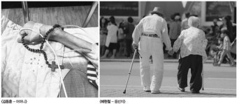 제4회 HMP 사진공모전 대상에 최원락 원장