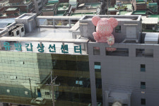 대림성모병원 옥상에는‥ 유방암 인식 향상 프로젝트