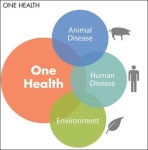 박능후 장관 공무원들 자기 일만 해..원헬스 필요