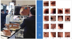 애니메디솔루션, 국산 내시경 트레이닝 시스템 첫 선