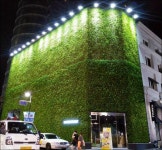 우리나라 땅값 1위 주변 의료기관… 피부·미용 다수