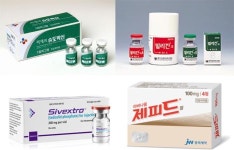 제피드 취하로 돌아본 국산 신약의 그늘… 실적 부진 등 포기 이어져