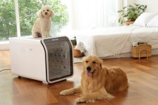 비보존 헬스케어 퐁고 펫케어룸 출시하며 반려동물 사업 진출