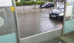 고가 항암제 등 침수… 80년 만의 기록적 폭우에 약국 잇단 피해