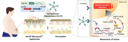 커서스바이오, 비만 및 당뇨 치료 마이크로니들 연구성과 국제 학술지 발표