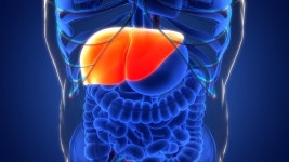 첫 MASH 치료제 만든 마드리갈, 레즈디프라 출시 박차