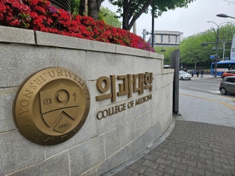 연세의대 교수 비대위, 27일 무기한 휴진 돌입