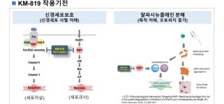 카이노스, MSA 국내 임상진행…예방 치료제로도 확장
