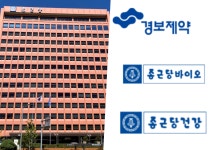 종근당홀딩스 계열사, 매출 비중 변화…팬데믹 이전으로 회귀