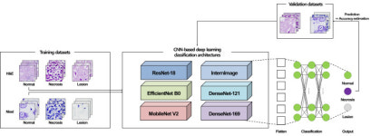 케이메디허브, 뇌 손상 영역 찾는 AI 6개 모델 성능 비교 발표