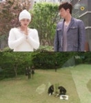 49일 반전 결말에 시청자 반응 극과극 ″완전 막장″ vs ″감동이다″