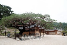 안병광, 30년만에 이룬 이중섭 향한 꿈
