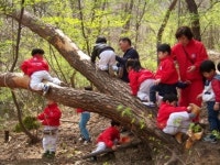 수성대, 숲유치원 활성화 잇따라 성과