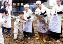 [천진기 문화 칼럼]보리고개 넘긴 新꽁보리밥타령