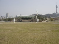 코오롱야외음악당 잔디광장 개방