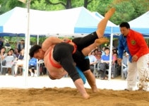 대구 와룡공원에서 ‘단오 민속경기대회’ 열려