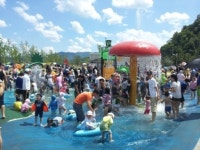 수성패밀리파크 물놀이장 15일 개장