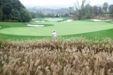 [김맹녕 골프 칼럼]가을이 깊어가는 코스, 그린의 철학자가 되다