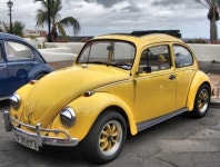 [세계의 명차 브랜드 ③ 폭스바겐 비틀 ]시대를 뛰어넘은 클래식, 獨 대표 자동차로 명성