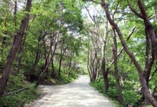 옻을 다스리는 신묘한 약수