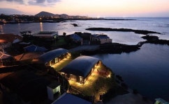 [공간 디자인 - 눈먼고래] 제주돌집이 두 마리 고래로 환생