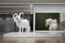 [화랑가] 안도 타다오의 JCC에서 한국미술의 허리를 만나다