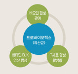 [홍성재 탈모 칼럼] 유산균은 탈모 예방에 도움이 되나?