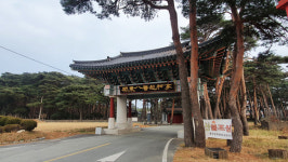 [겸재 그림 길 (93) 월송정] 월송정에 어른거리는 왜구의 칼날