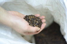 가장 맥주다운 ‘올 몰트’… 맛있는 전쟁이 시작됐다