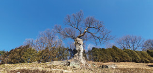 [매월당 싯길 (4) 금강산 길, 포천] 금강산 길목 ‘물 품은’ 포천의 물맛 술맛