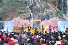 서대문 봄빛과 함께, 꿈을 현실로 2025 서대문 봄빛축제